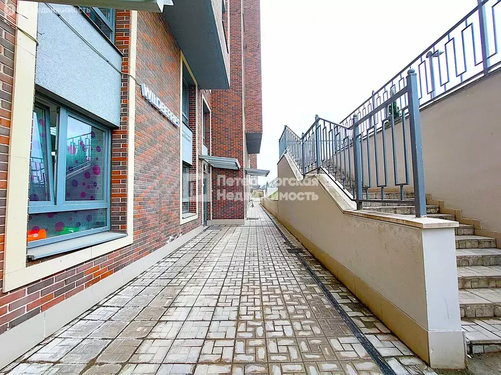 Помещение свободного назначения (49.3 м) - Фото 2