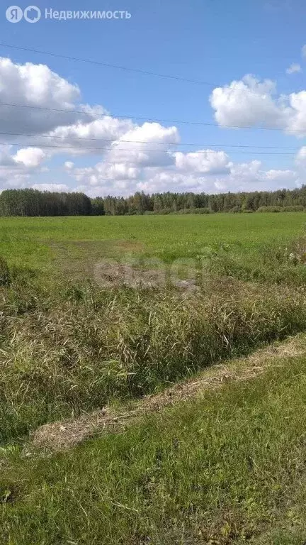 Участок в Свердловская область, Тугулымский муниципальный округ, село ... - Фото 0