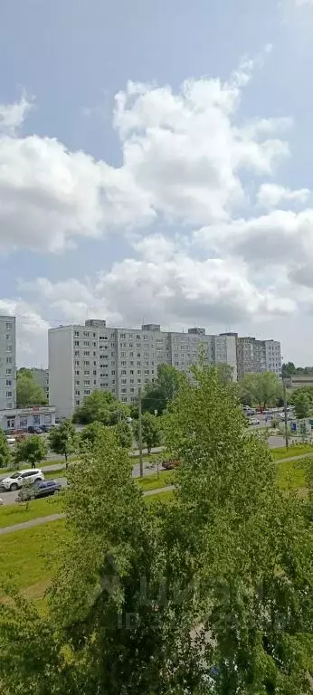 1-к кв. Калининградская область, Калининград ул. Гайдара, 94 (41.0 м) - Фото 1