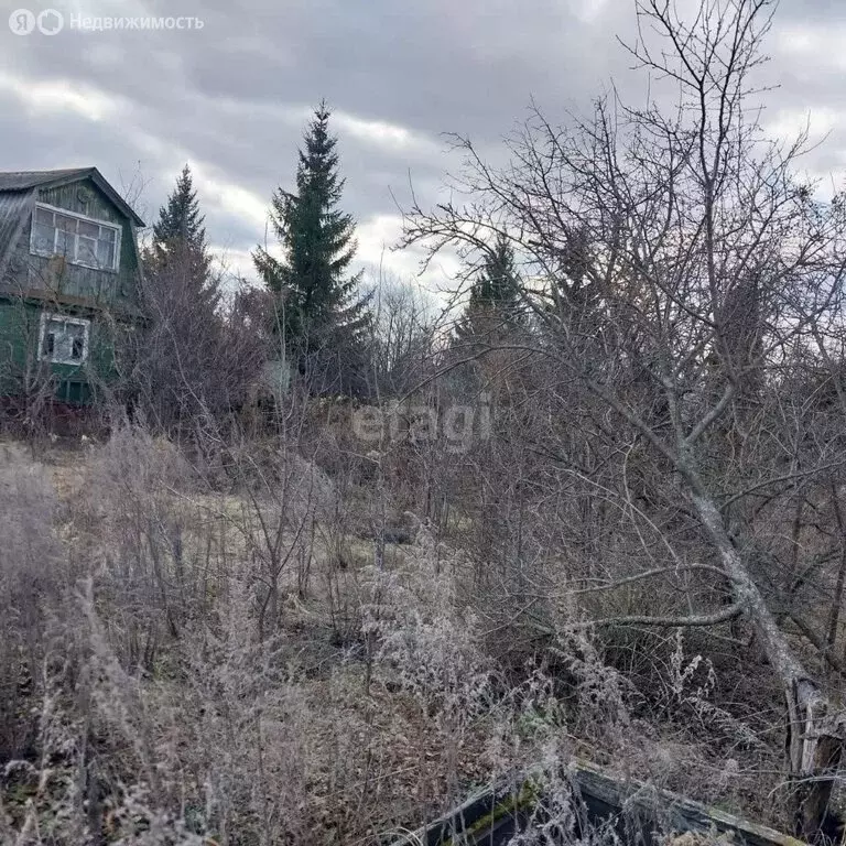 Дом в городской округ Ульяновск, СТ Дружба (41 м) - Фото 1