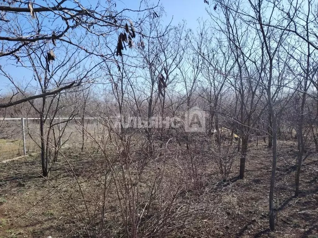 Участок в Ростовская область, Усть-Донецкий район, Мелиховская ст-ца ... - Фото 2
