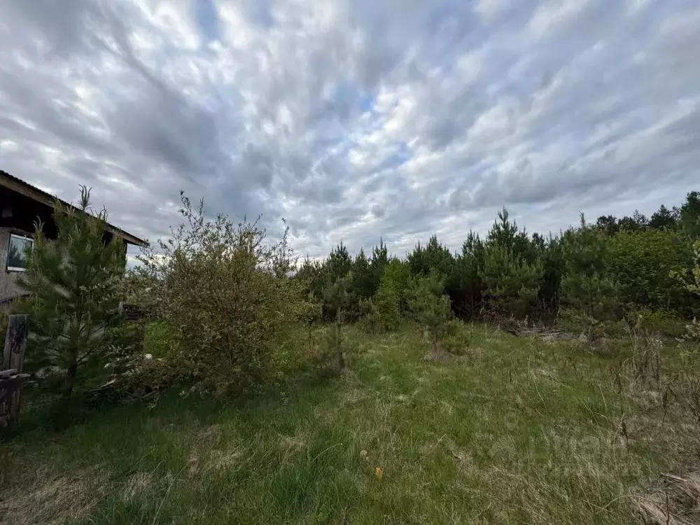 Участок в Иркутская область, Иркутский муниципальный округ, Маркова рп ... - Фото 1