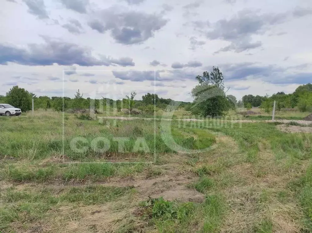Участок в Воронежская область, Новоусманский район, с. Бабяково ... - Фото 1
