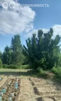 Участок в Колыванский район, СНТ Маяк, улица Авиаторов (6.56 м) - Фото 2