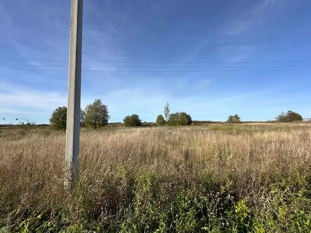 Участок в Ленинградская область, Кингисеппский район, Котельское ... - Фото 1