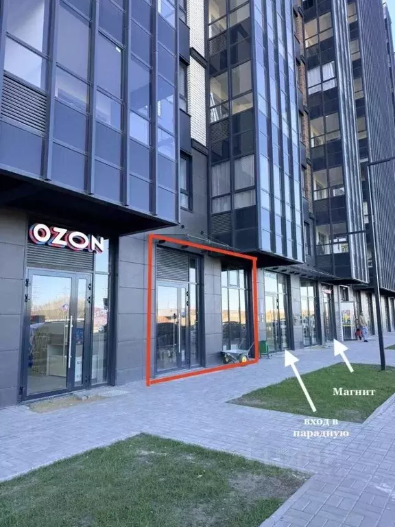 Помещение свободного назначения в Ленинградская область, Кудрово г. ... - Фото 1