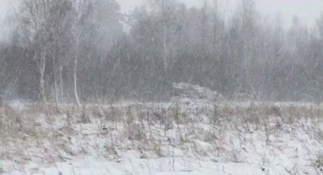 Участок в Московская область, Коломна городской округ, с. Нижнее ... - Фото 1