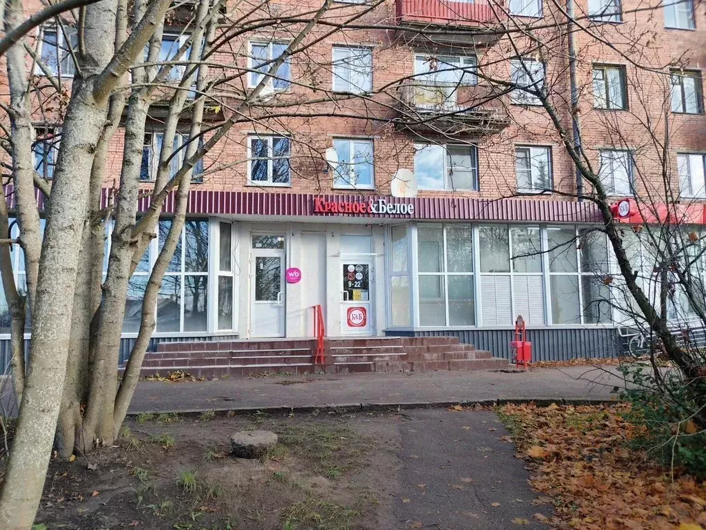 Помещение свободного назначения в Ленинградская область, Приозерск ... - Фото 1