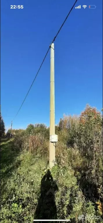 Участок в Ленинградская область, Кировский район, Назиевское городское ... - Фото 1
