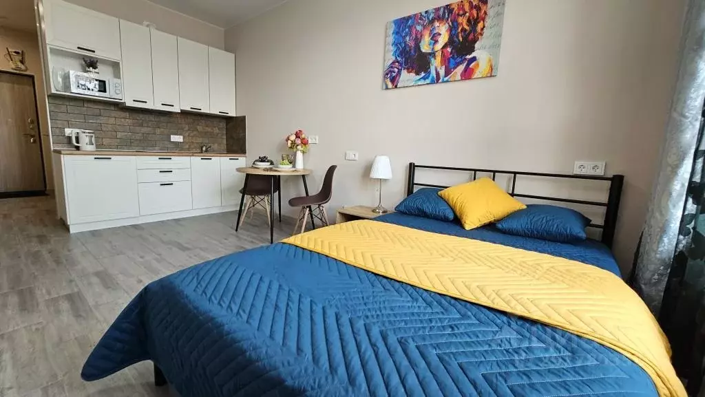 1-к кв. Московская область, Мытищи ул. Колпакова, 44 (23.0 м) - Фото 1