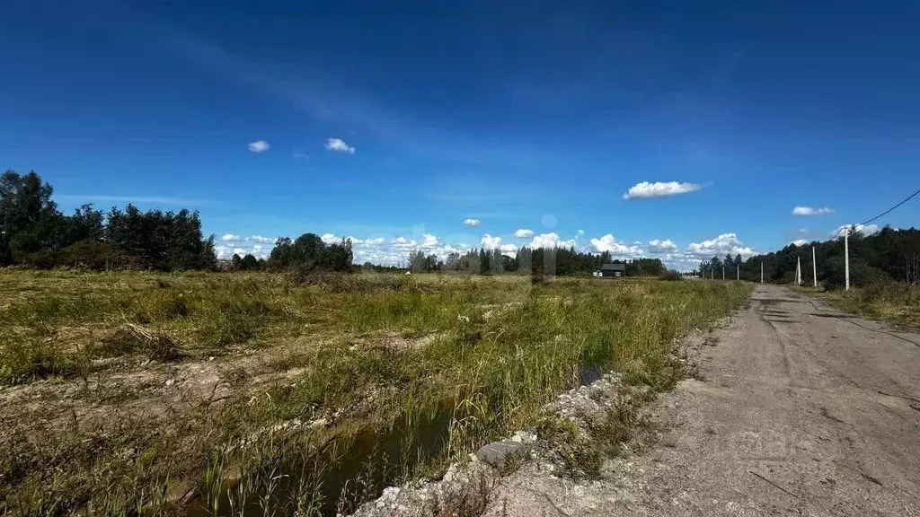 Участок в Ленинградская область, Всеволожский район, Имени Морозова ... - Фото 1