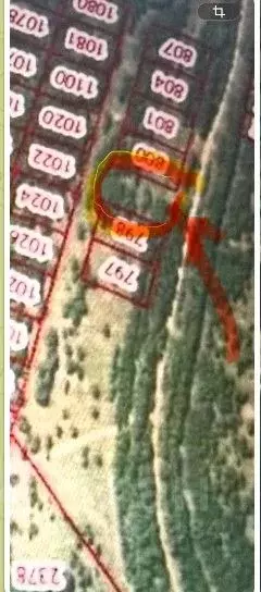 Участок в Нижегородская область, Воротынский муниципальный округ, с. ... - Фото 2