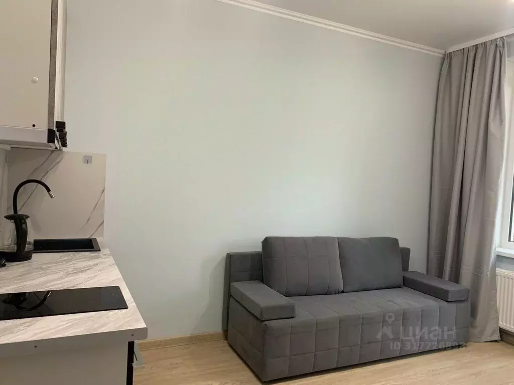 Студия Санкт-Петербург аллея Арцеуловская, 9 (20.0 м) - Фото 1