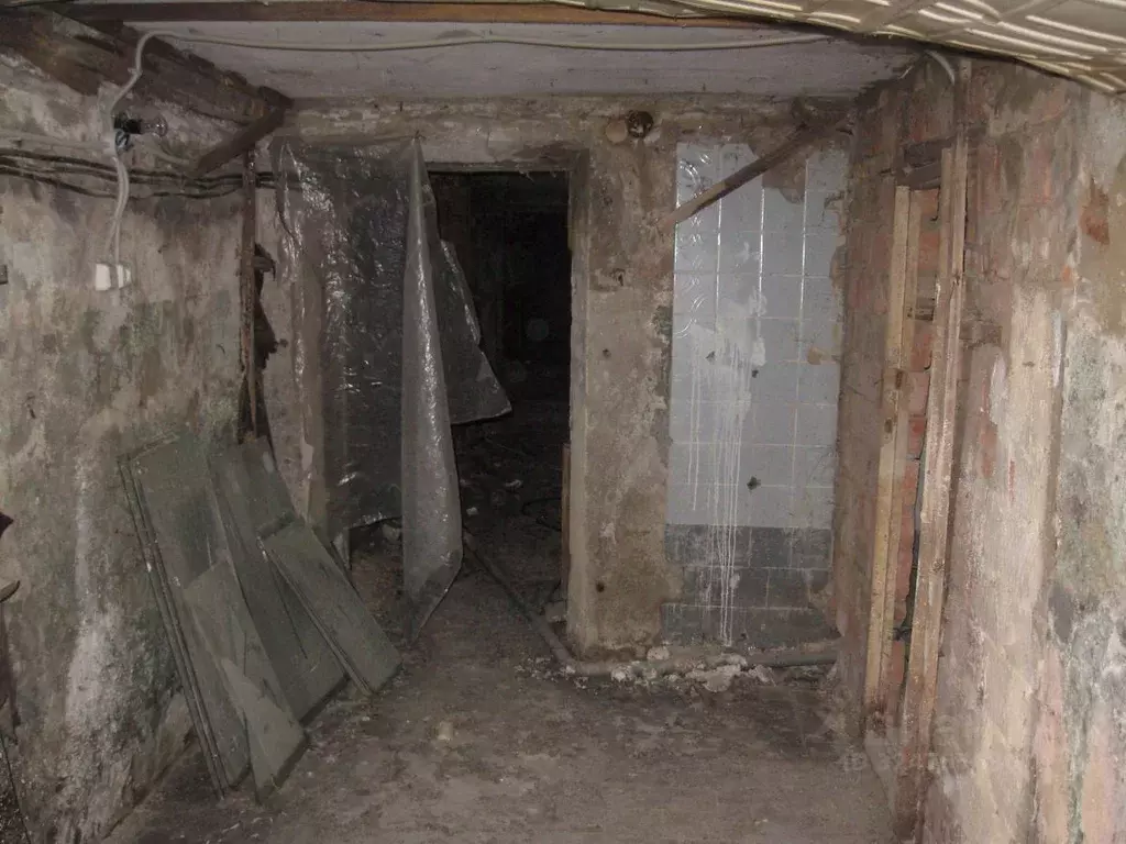 Помещение свободного назначения в Мордовия, Саранск просп. Ленина, 31 ... - Фото 2