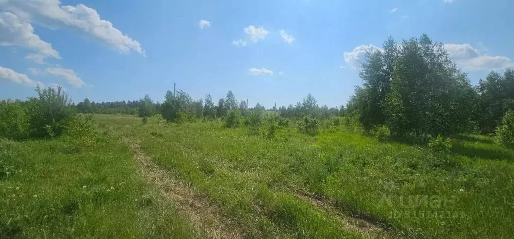 Участок в Иркутская область, Иркутский муниципальный округ, д. ... - Фото 1