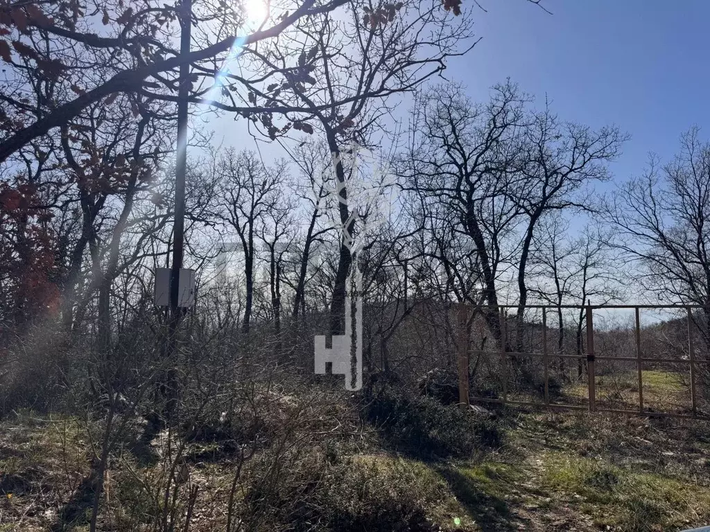 Участок в Крым, Алушта муниципальный округ, с. Малый Маяк ул. ... - Фото 1