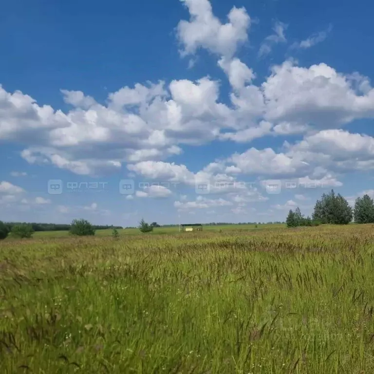 Участок в Татарстан, Лаишевский район, с. Державино ул. Вишневая, 17 ... - Фото 1