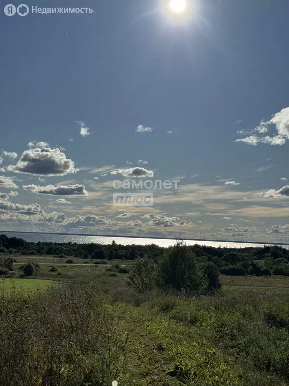 Участок в Вологодская область, Череповецкий муниципальный округ, ... - Фото 0