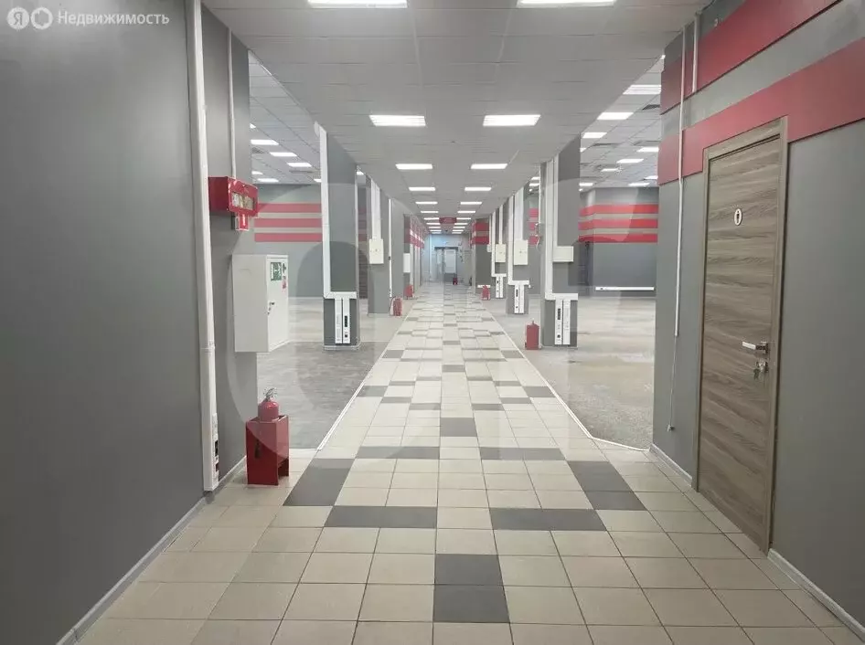 Офис (2662 м) - Фото 2