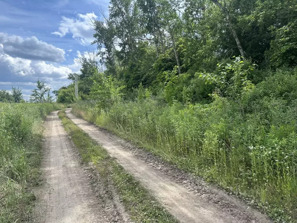 Участок в Курская область, Курск ул. Евгения Носова, 25 (10.0 сот.) - Фото 2