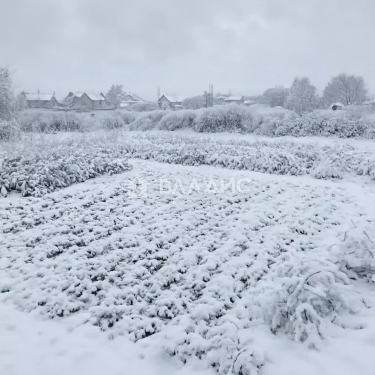Участок в Брянская область, Брянский район, Добрунское с/пос, д. ... - Фото 1
