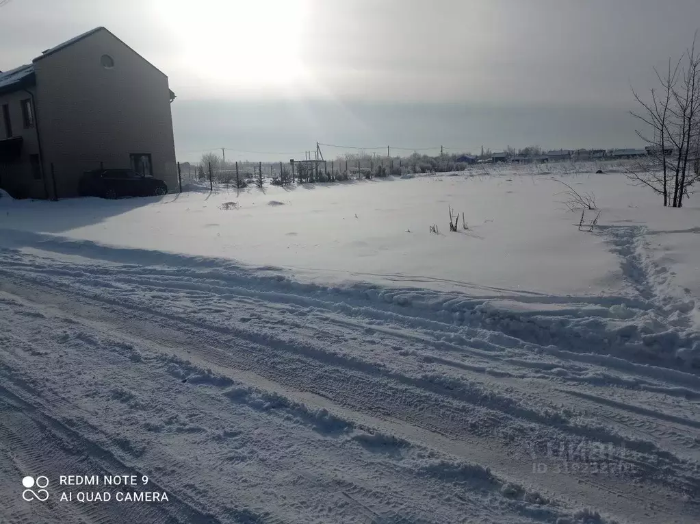 Участок в Санкт-Петербург, Санкт-Петербург, Петергоф ш. Ольгинское, ... - Фото 2