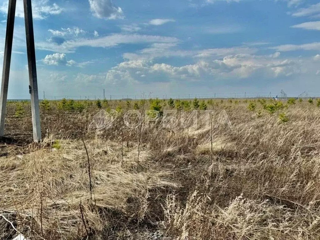 Участок в Тюменская область, Тюмень Центральная пл. (5.0 сот.) - Фото 2