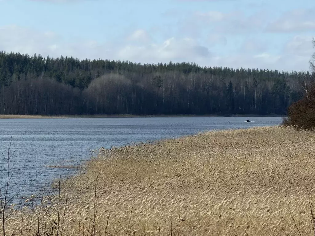 Участок в Ленинградская область, Приозерский район, Ромашкинское с/пос ... - Фото 1