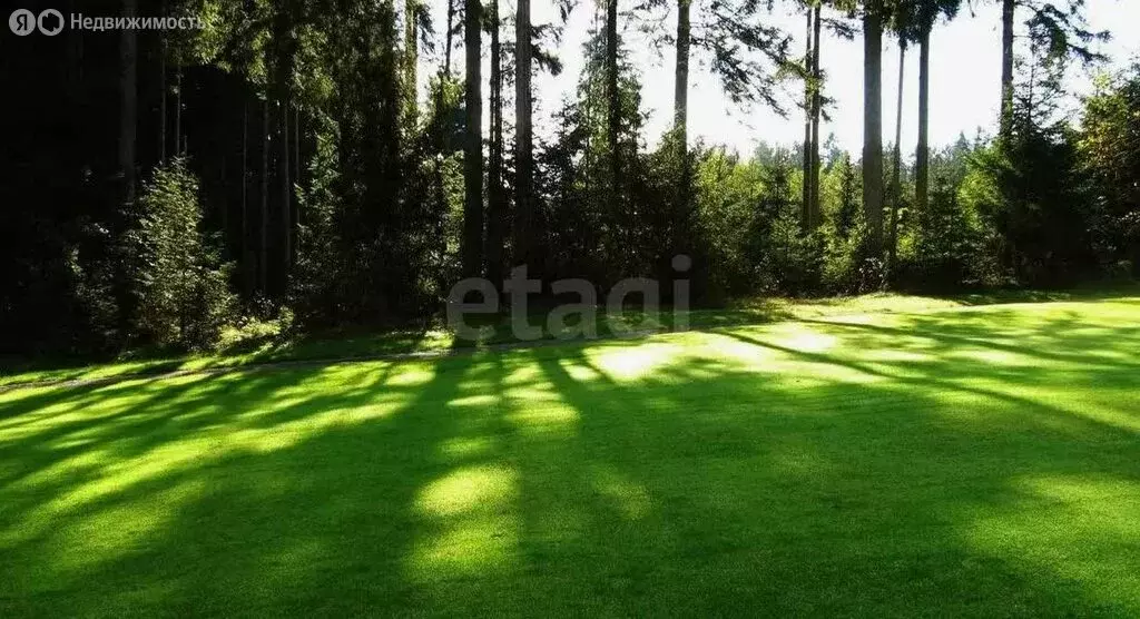 Участок в Пермь, СНТ Надежда-1 (6 м) - Фото 1