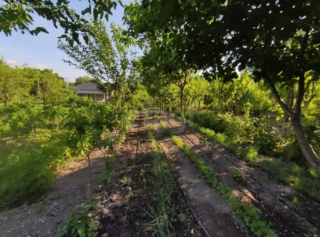 Участок в станица Натухаевская, улица Фрунзе (8.7 м) - Фото 2