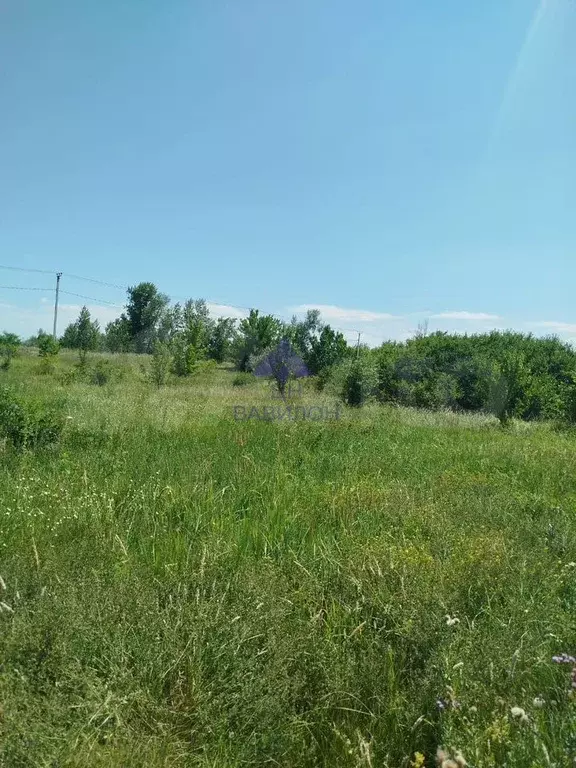 Участок 6 сот. (СНТ, ДНП) - Фото 0