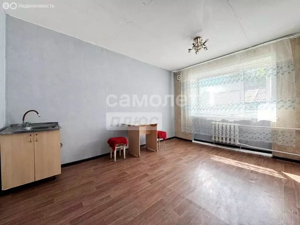 Квартира-студия: село Волково, Центральная улица, 12 (24.8 м) - Фото 2