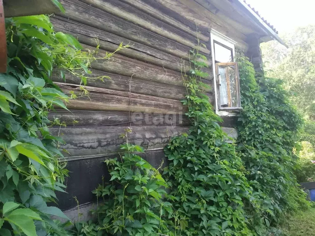 Дом в Новгородская область, Боровичский район, Опеченское с/пос, д. ... - Фото 1