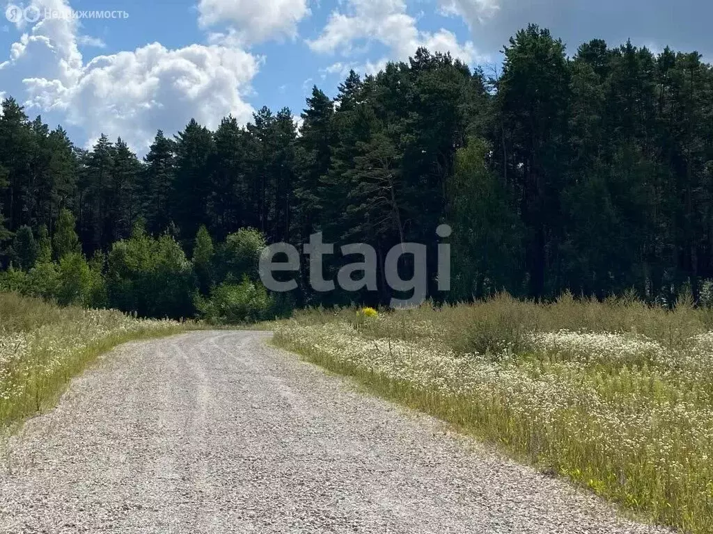 Участок в Брянский район, Новодарковичское сельское поселение, деревня ... - Фото 1