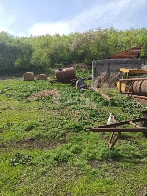 Участок в Алтайский край, Алтайский район, с. Алтайское пер. ... - Фото 2