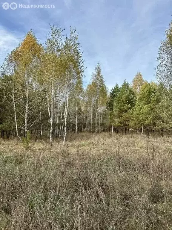 Участок в Курганская область, Кетовский муниципальный округ, деревня ... - Фото 2