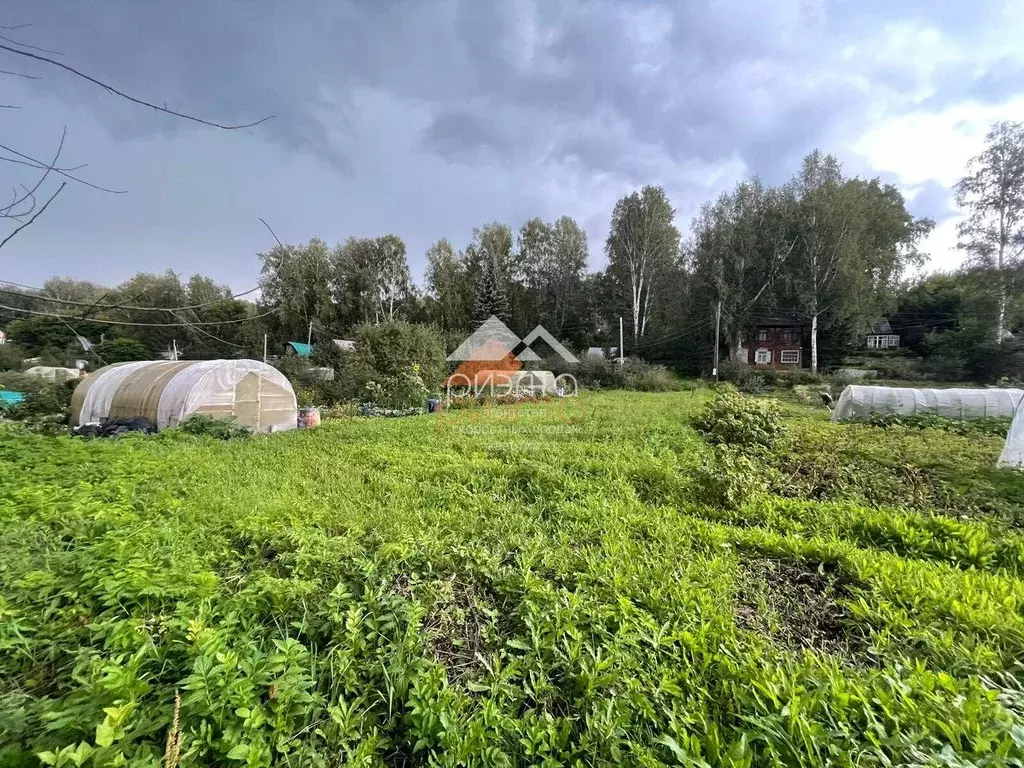 Участок в Новосибирская область, Новосибирск Заря садовое ... - Фото 0