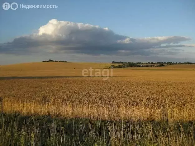 Участок в Воронежская область, село Новая Усмань (450 м) - Фото 1