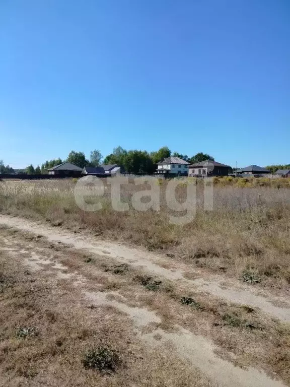 Участок в Брянская область, Брянский район, Новодарковичское с/пос, д. ... - Фото 0