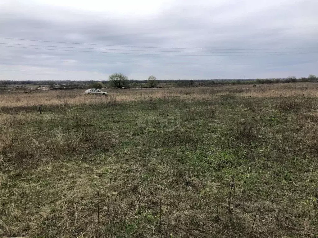 Участок в Брянская область, Брянский район, Новодарковичское с/пос, ... - Фото 1