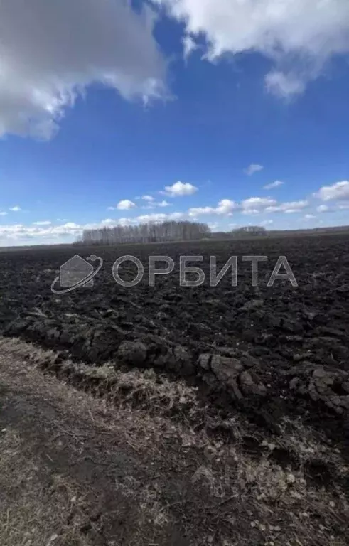 Участок в Тюменская область, Тюменский муниципальный округ, ... - Фото 1