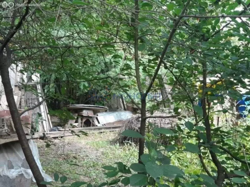 Участок в деревня Ховрино, СНТ Ховрино-1, 23 (19 м) - Фото 1