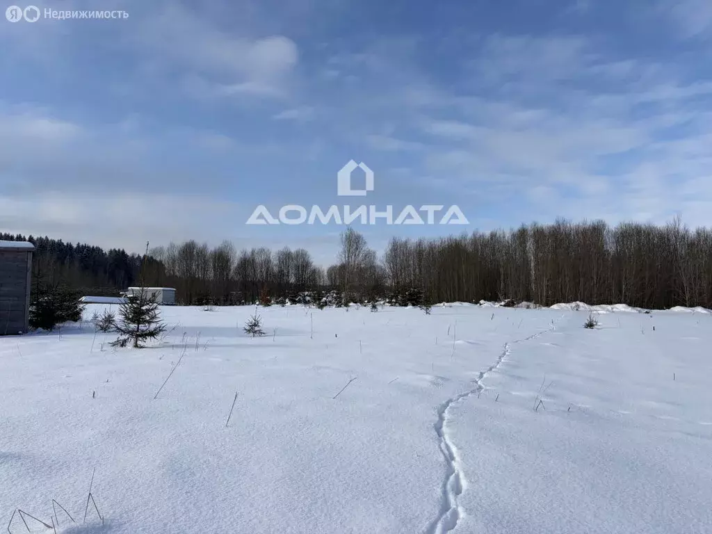 Участок в Волосовский район, Калитинское сельское поселение, деревня ... - Фото 1