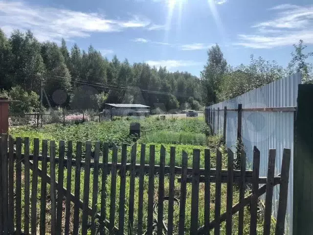 Участок 3 сот. (СНТ, ДНП) - Фото 0