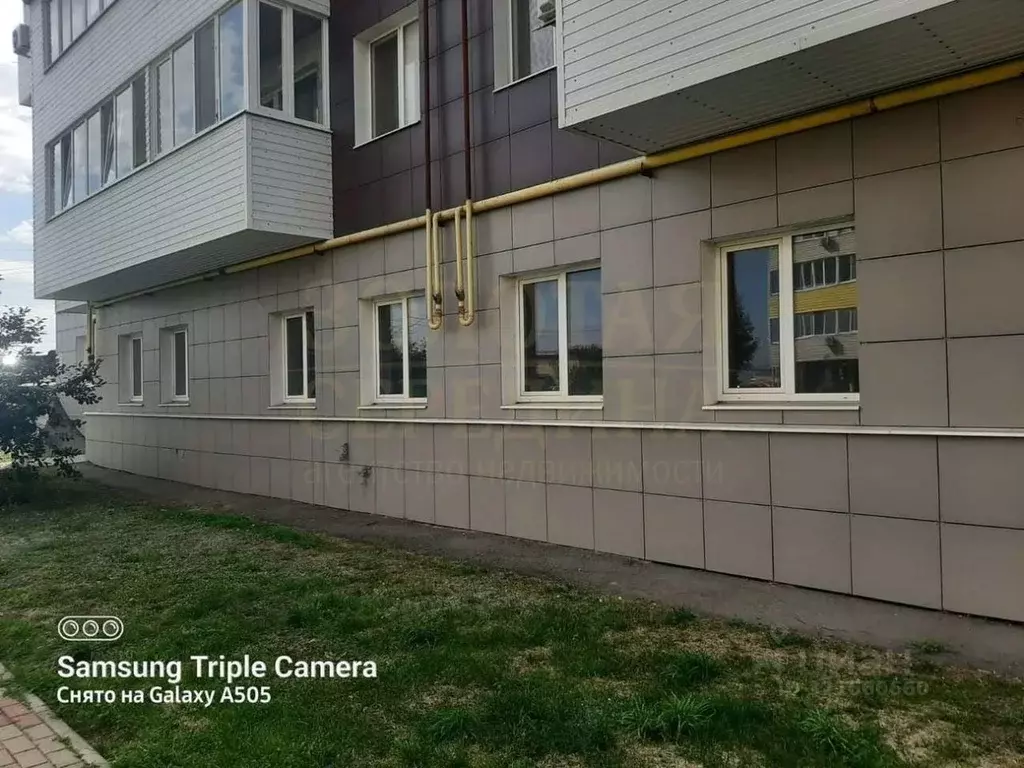 Помещение свободного назначения в Белгородская область, Белгородский ... - Фото 1