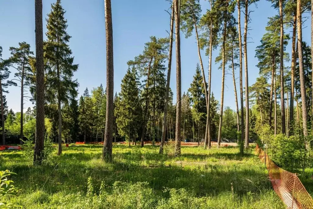 Участок в Московская область, Одинцовский городской округ, с. ... - Фото 2