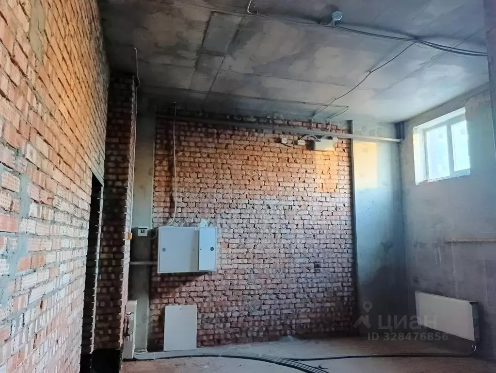 Помещение свободного назначения в Московская область, Старая Купавна ... - Фото 2