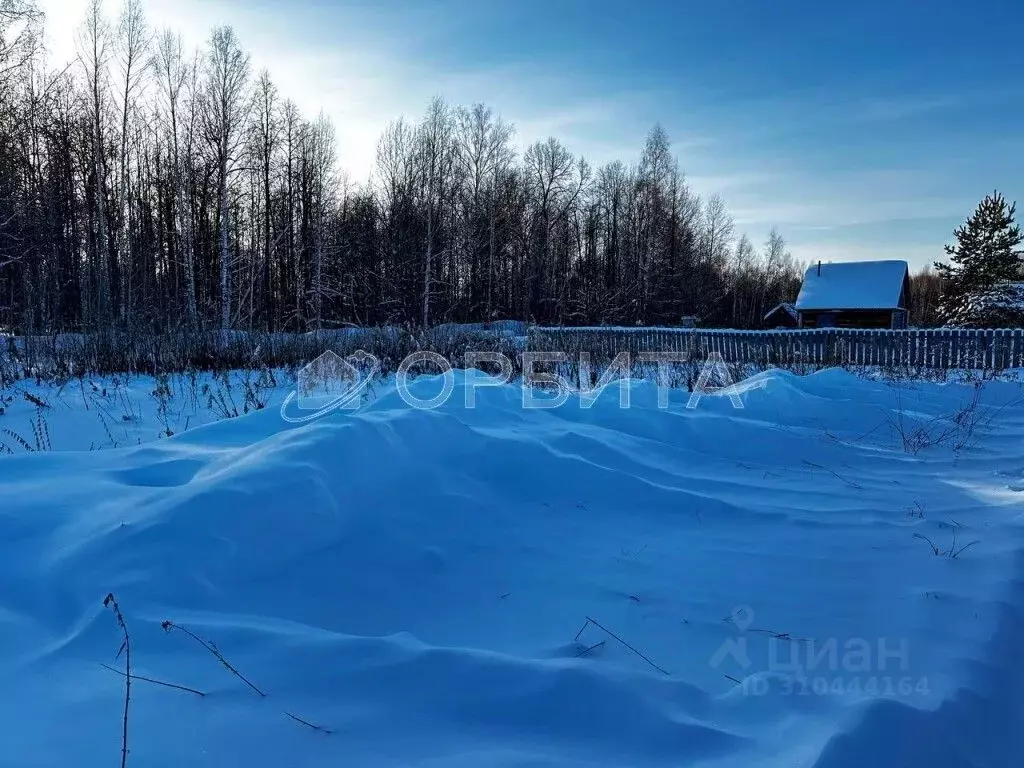 Участок в Тюменская область, Нижнетавдинский район, Геофизик 2 СНТ  ... - Фото 0