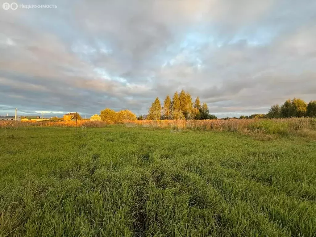 Участок в Кострома, садоводческое товарищество Журавлик (8.1 м) - Фото 1