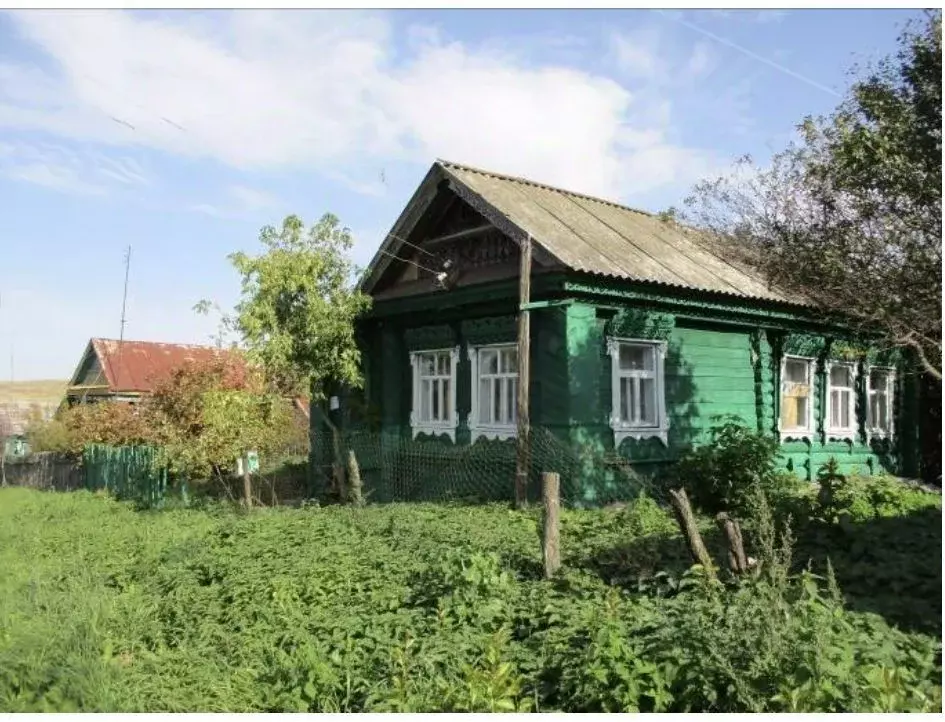 Дом в Нижегородская область, Шатковский муниципальный округ, с. ... - Фото 0